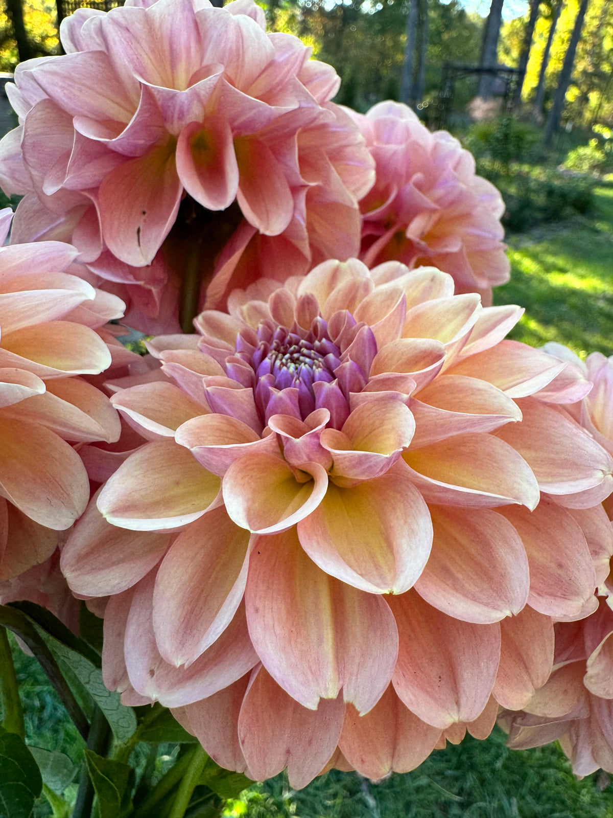 Breannon Tuber 🇦🇺